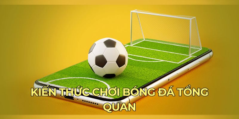 Kiến Thức Chơi Bóng Đá - Tham Gia Cá Độ 789Bet Dễ Thắng Kiến thức chơi bóng đá tổng quan