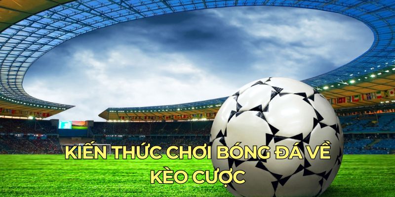 Kiến Thức Chơi Bóng Đá - Tham Gia Cá Độ 789Bet Dễ Thắng Kèo cược thú vị có trong kiến thức bóng đá bạn nên biết