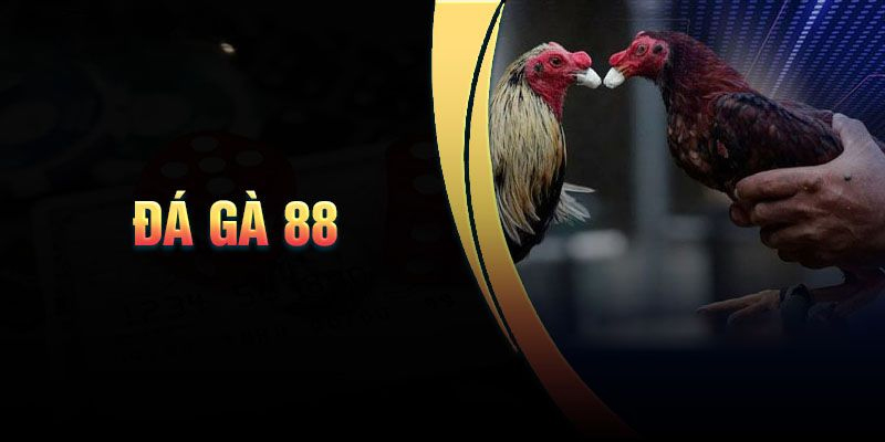 Đá gà 88 tại 789BET - Sân chơi cá cược kịch tính, hấp dẫn Đá gà 88 mang lại cơ hội làm giàu nhanh chóng nhờ tỷ lệ cược cao